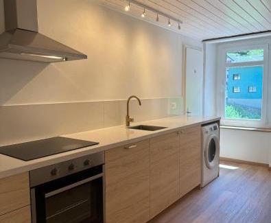 Goeschenen Apartamento | Alpine Haus
