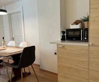 Goeschenen Apartamento | Alpine Haus
