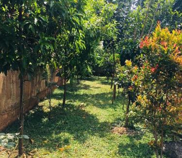 Kottappadi part Casa | Alpine Zenith - Luxury Wooden Cottages