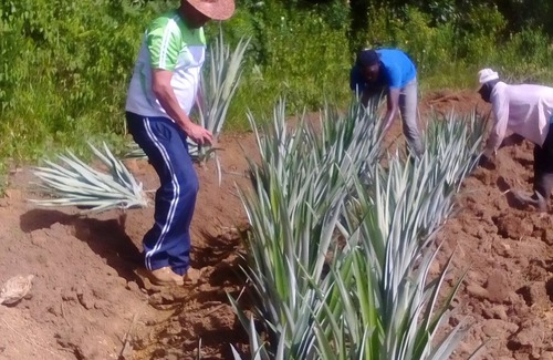 Monte Plata Otro | Alquiler de Finca o Villa
