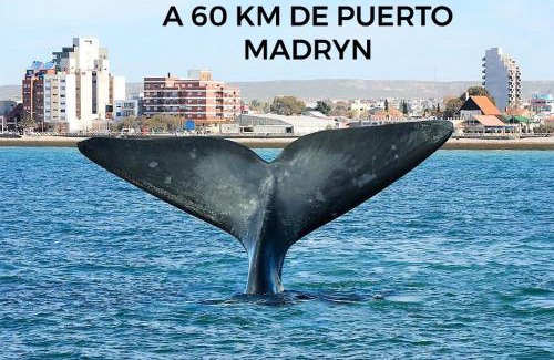 Trelew Apartamento | ALQUILERES MARLUZ