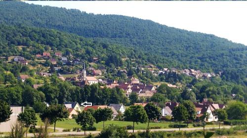 Gunsbach Cama Y Desayuno | Alsace nature et découvertes