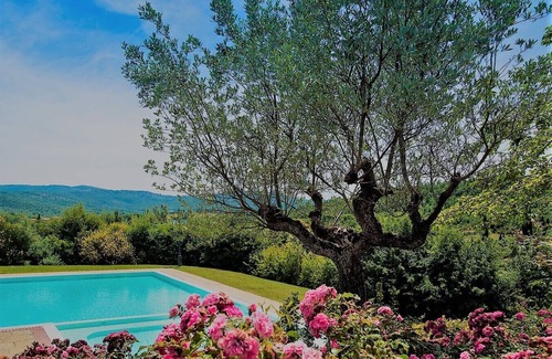 Bucine Otro | Altair (Habitación bajo las estrellas) - Poggio Cennina Country Resort Tuscany