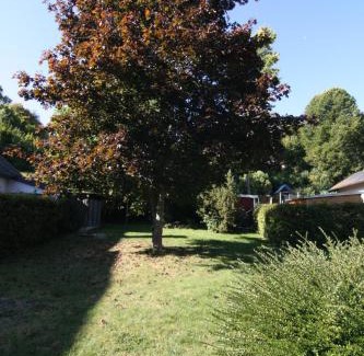 Simmern Apartamento | Alte Praxis - Zentral & ruhig in Simmern! Stellplatz