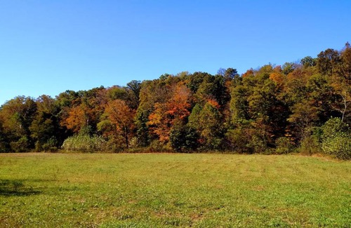 McArthur Otro | Altenbrauch Farm - Camping in the Hocking Hills