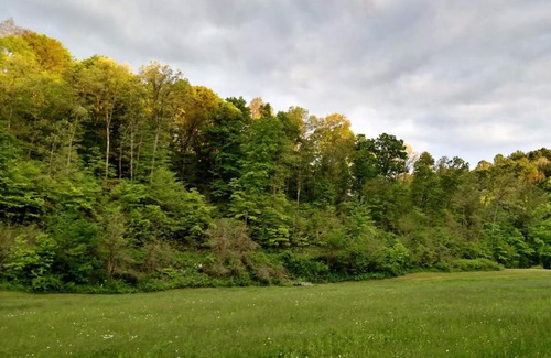 McArthur Otro | Altenbrauch Farm - Camping in the Hocking Hills