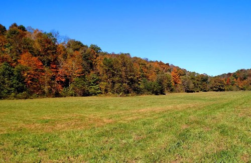 McArthur Otro | Altenbrauch Farm - Camping in the Hocking Hills