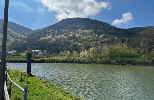Historic Downtown Apartamento | Altes Eichamt