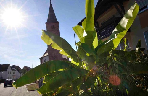 Fischbach bei Dahn Apartamento | Altes Zollhaus Fischbach