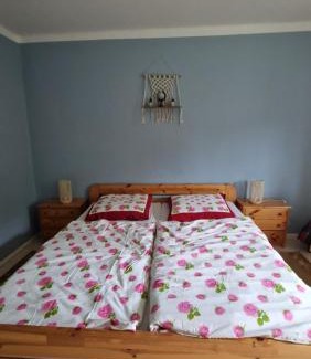 Rehau Apartamento | Altes Zollhaus im Wald