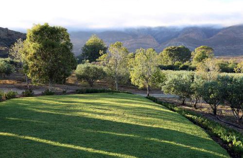Barrydale Chalet De Esquí | AlteVrede Olive Farm