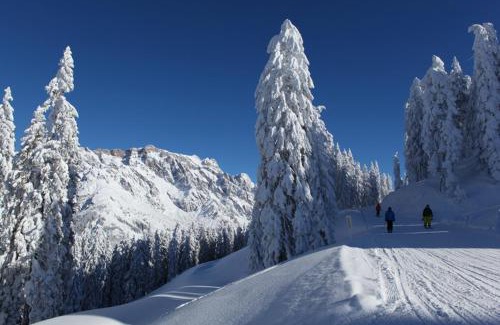Maria Alm am Steinernen Meer Apartamento | Am Berg 34
