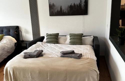 Heringhausen Apartamento | AM Diemelglück