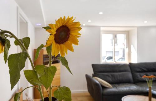 Gailingen Apartamento | am Hochrhein Desko
