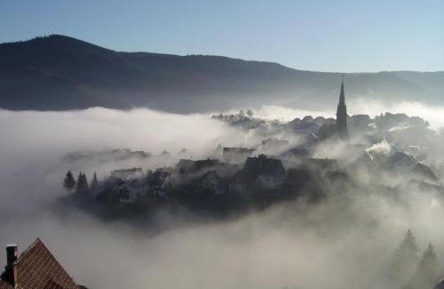 Forbach Apartamento | Am Keschtewaeldele *