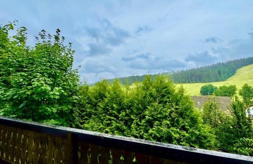 Altglashutten Apartamento | Am Sommerberg - Rafael Apartment - Greschuk Apartments