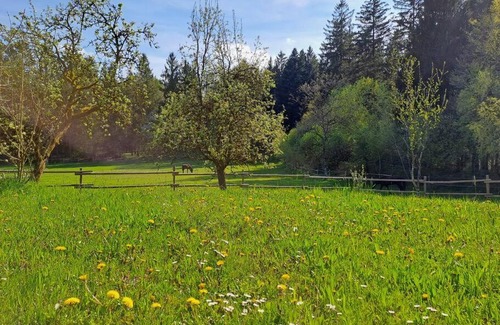 Simbach am Inn Apartamento | Am Waldrand auf dem Schellenberg