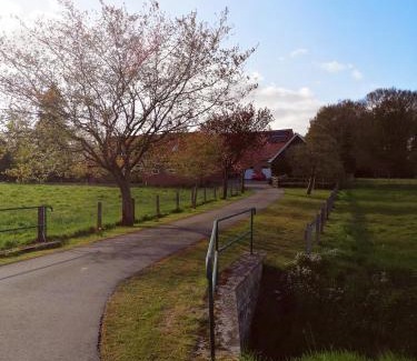 Quendorf Apartamento | Am Waldrand