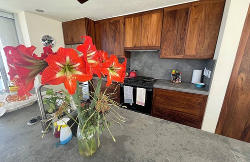 San José del Cabo Casa | Amazing 3-bedroom Eco-Retreat in the beautiful East Cape
