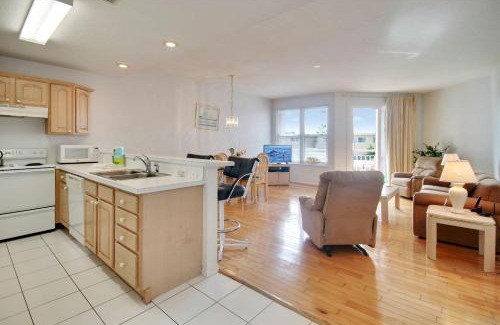 Treasure Island Casa | Amadeus 2