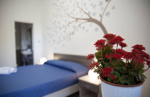 Custonaci Casa | Amaka affittacamere
