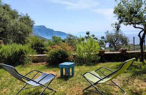 Colli di Fontanelle Casa | Amalfi Coast, Positano, Sorrento, Capri, Garden, Villa Carcara