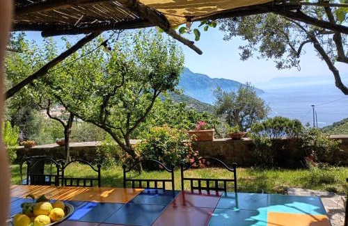 Colli di Fontanelle Casa | Amalfi Coast, Positano, Sorrento, Capri, Garden, Villa Carcara