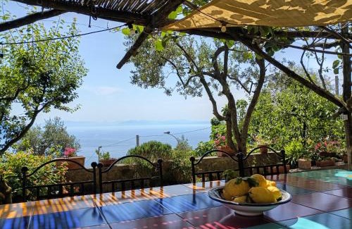 Colli di Fontanelle Casa | Amalfi Coast, Positano, Sorrento, Capri, Garden, Villa Carcara