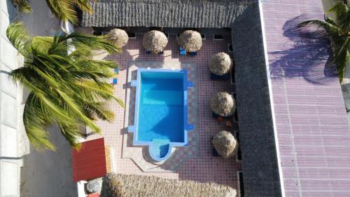 Paje Hotel | Amani Hotel Paje