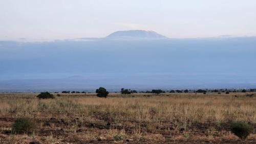 Amboseli Otro | Amanya Star Bed Amboseli