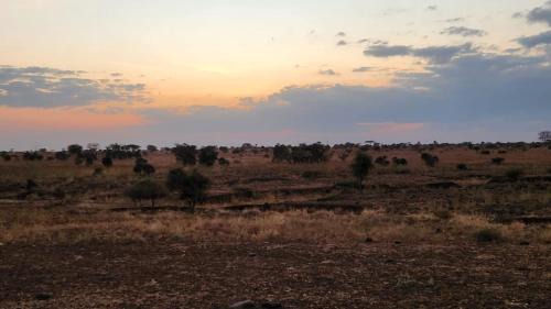 Amboseli Otro | Amanya Star Bed Amboseli