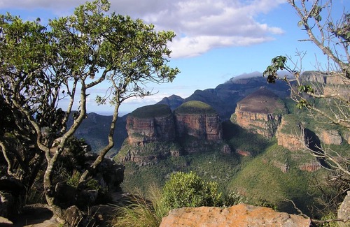 Thorny Bush Game Reserve Cabaña | Amanzimloti Riverside Bush Camp