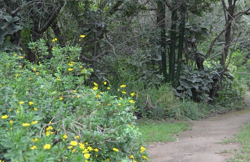 Thorny Bush Game Reserve Alquiler De RV | Amanzimlotzi Riverside Bush Tent for 3 Adults in Limpopo, Kruger Park
