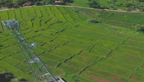 Tumauini Otro | Amarah's Place by Sierra Madre Community Farm and Camping Site