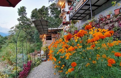 Gangtok Casa | Amazing 2 bedroom house with WiFi in Gangtok A frame cottage, peaceful place