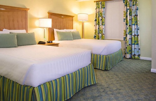 Brush - Stewarts Complejo | Amazing 2 Bedroom Deluxe at Wyndham Ocean Walk in Daytona Beach 02/12/21- 02/15/21