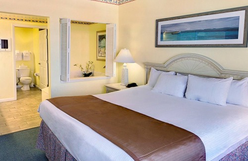 Brush - Stewarts Complejo | Amazing 2 Bedroom Deluxe at Wyndham Ocean Walk in Daytona Beach 02/12/21- 02/15/21