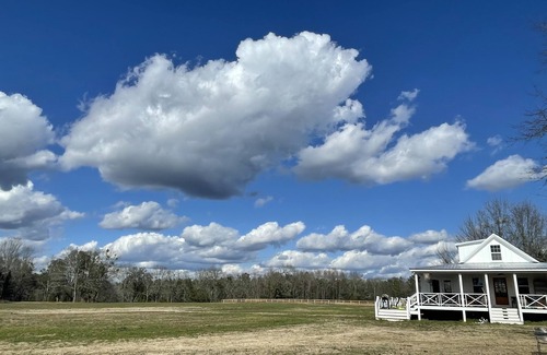 South Carolina Lakes & Blackwater Rivers Cabina | Amazing Barn Lodge on 100 ac Farm, minutes into fun Aiken. Dog & Horse friendly!