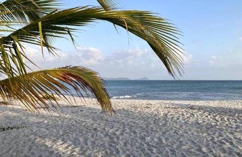 Punta Chame Villa | Amazing Beachfront Villa - Palm House