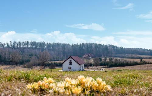 Gietrzwald Casa | Amazing Home In Gietrzwald