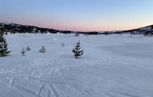 Nissedal Casa | Amazing Home In Nissedal With Wifi