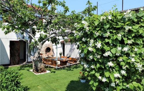 Polje Casa | Amazing Home In Polje With Wifi
