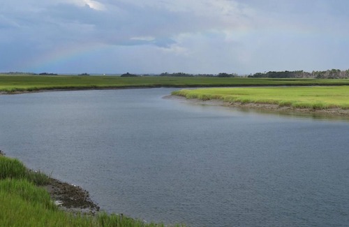 Bonito Boathouses Casa | Amazing marsh water views, golf cart included