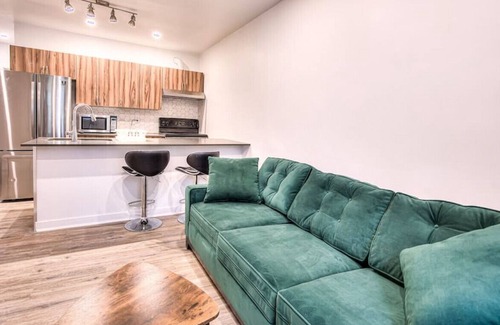 Pointe-Saint-Charles Apartamento | Amazing New renovated Apt