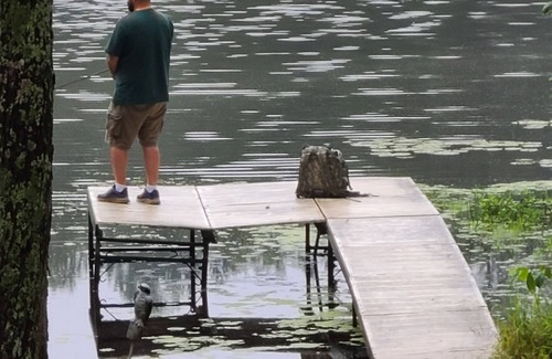 Athelstane Cabina | Amazing private lakefront cabin on the trails!