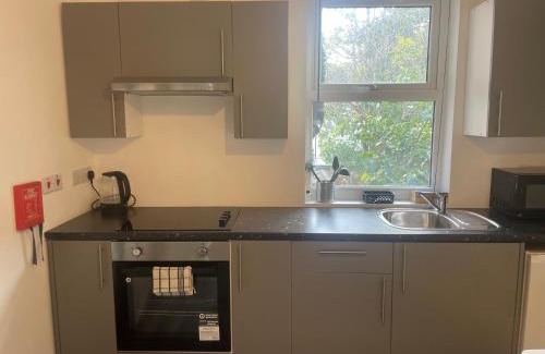 Boleyn Apartamento | Amazing Studios 4 - East London