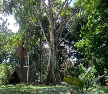 Puerto Narino Otro | Amazon jungle cabin - satorinatural
