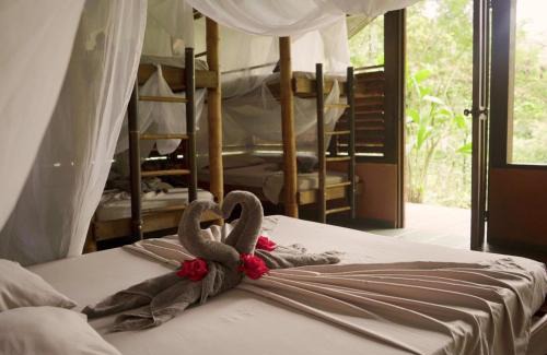 Dos Brazos Cabina | Amazonita Ecolodge