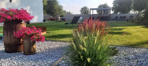 Uniejow Apartamento | Ambasada zieleni