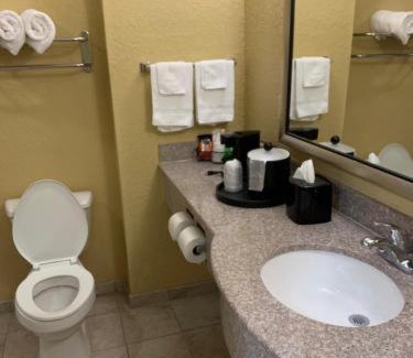 Tuscaloosa Hotel | Ambassador Inn & Suites Tuscaloosa University I-20
